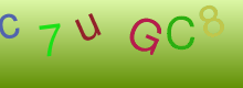 stringCaptcha