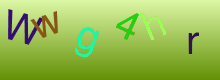 stringCaptcha